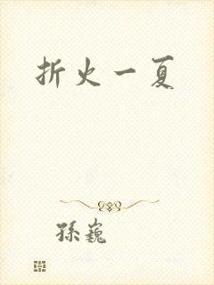 折火一夏封面