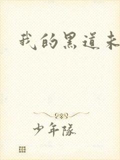 我的黑道未婚夫