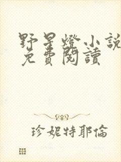 野星灯小说全文免费阅读