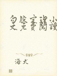 勾股定理小说全文免费阅读无弹窗笔趣阁