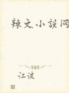 辣文小说网