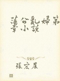 荡公乱妇第51章小说封面