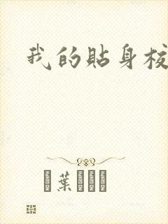 我的贴身校花封面