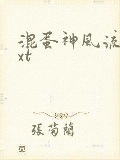 混蛋神风流史txt封面