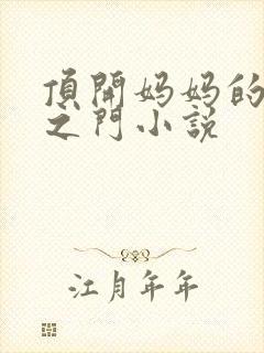 顶开妈妈的生命之门小说