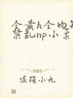 全黄h全肉短篇禁乱np小柔