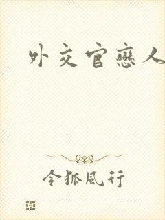 外交官恋人小说封面