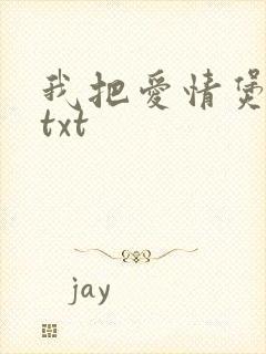 我把爱情煲成汤txt封面