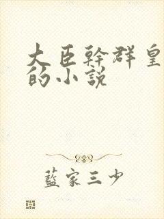 大臣干群皇太后的小说