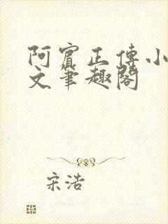 阿宾正传小说全文笔趣阁