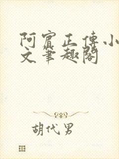 阿宾正传小说全文笔趣阁封面