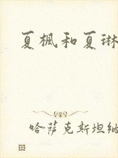 夏枫和夏琳
