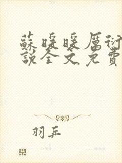 苏暖暖厉衍琛小说全文免费阅读