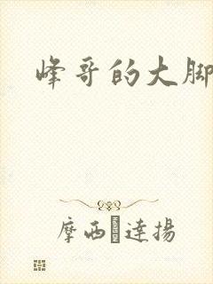 峰哥的大脚
