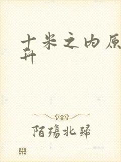 十米之内原地飞升封面