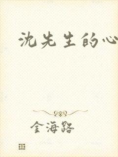 沈先生的心头宝