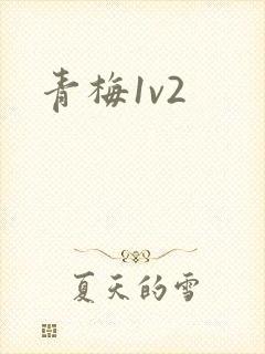 青梅1v2