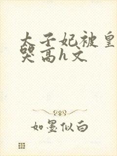 太子妃被皇上c哭高h文封面