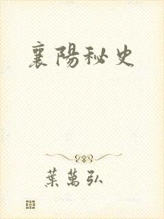 襄阳秘史