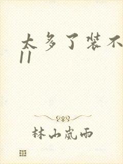 太多了装不下H11