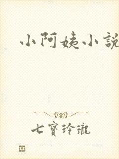 小阿姨小说