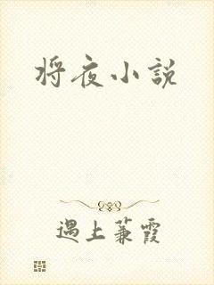 将夜小说封面
