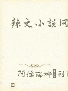 辣文小说网