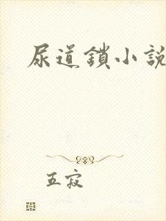 尿道锁小说封面