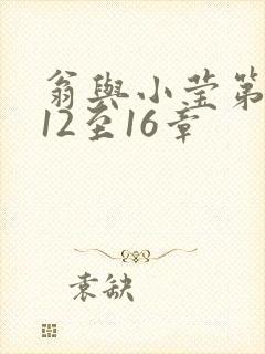 翁与小莹第十部12至16章封面