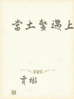 当土鳖遇上海龟封面