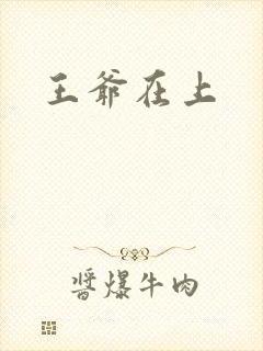 王爷在上封面