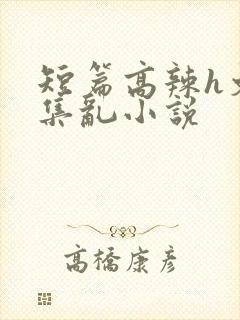 短篇高辣h文合集乱小说