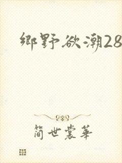 乡野欲潮28章