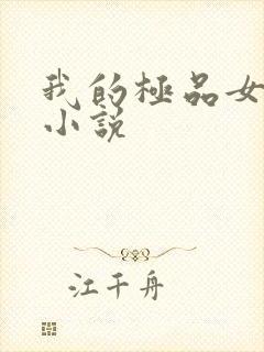 我的极品女老师小说