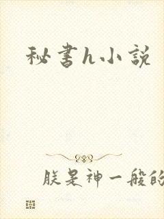 秘书h小说