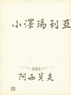 小泽玛利亚作品