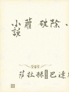 小萝 破除 小说