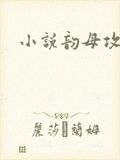 小说韵母攻略封面