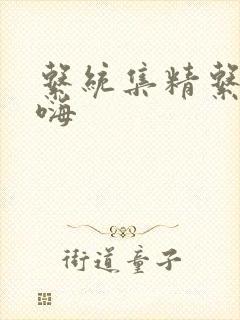 系统集精系统高嗨