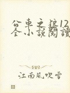 公车之狼12集全小说阅读