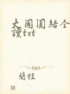大团圆结全文阅读txt