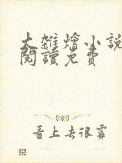 大杂烩小说全集阅读免费