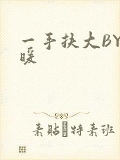 一手扶大BY泱暖