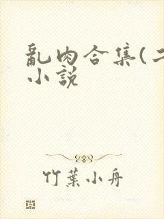 乱肉合集(二)小说