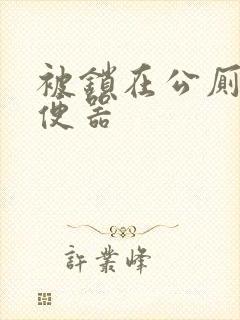 被锁在公厕当坐便器