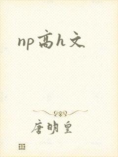 np高h文