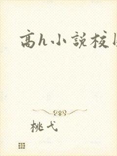 高h小说校园封面