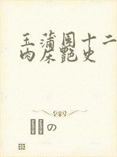 玉蒲团十二寡妇肉床艳史封面