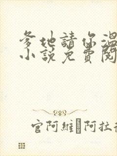 爹地请你温柔点小说免费阅读