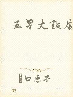 五星大饭店小说